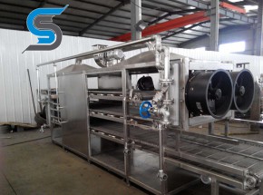 Fruit and vegetable drying equipment