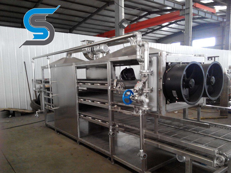 Fruit and vegetable drying equipment